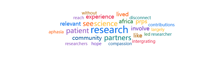 PxP Africa word cloud 2 PxP Africa word cloud 2